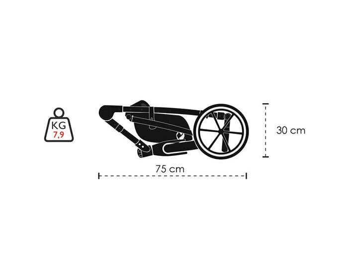 Sporta rati Lonex Sport Rose 04, Turkus cena un informācija | Bērnu rati | 220.lv