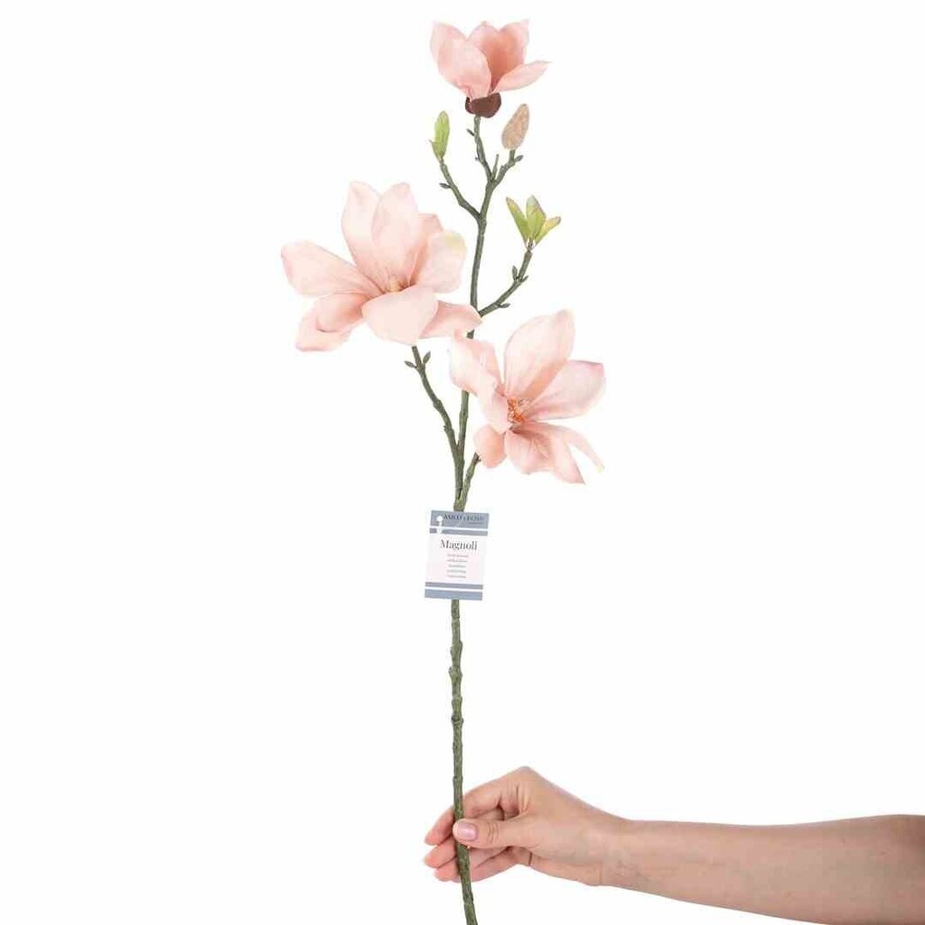 Mākslīgā magnolija, 10 gab. cena un informācija | Interjera priekšmeti | 220.lv