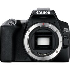 Canon EOS 250D + EF-S 10 - 18 мм IS STM цена и информация | Цифровые фотоаппараты | 220.lv