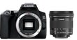 Canon EOS 250D + EF-S 10-18mm IS STM cena un informācija | Digitālās fotokameras | 220.lv