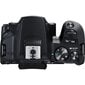 Canon EOS 4000D + EF-S 10-18mm IS STM цена и информация | Digitālās fotokameras | 220.lv