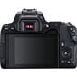 Canon EOS 4000D + EF-S 10-18mm IS STM цена и информация | Digitālās fotokameras | 220.lv