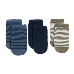 Cool Club носки для мальчиков 3 шт, CHB2501552-00 цена и информация | Носки, колготки для мальчиков | 220.lv