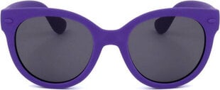 Женские солнечные очки Havaianas NORONHA_S VIOLET цена и информация | Женские солнцезащитные очки | 220.lv
