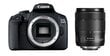 Canon EOS 2000D + EF-S 18-135mm f/3.5-5.6 IS USM cena un informācija | Digitālās fotokameras | 220.lv