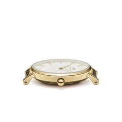 женские часы daniel wellington dw00100350 - petite evergold 28mm цена и информация | Женские часы | 220.lv