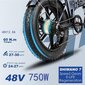 Elektriskais velosipēds Engwe EP-2 PRO, melns cena un informācija | Elektrovelosipēdi | 220.lv