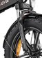 Elektriskais velosipēds Engwe EP-2 PRO, pelēks cena un informācija | Elektrovelosipēdi | 220.lv