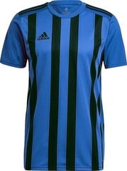T-krekls Adidas STRIPED 21 JSY, zils, S cena un informācija | Futbola formas un citas preces | 220.lv
