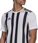 T-krekls Adidas STRIPED 21 JSY, balts, S cena un informācija | Futbola formas un citas preces | 220.lv