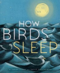 How Birds Sleep cena un informācija | Grāmatas pusaudžiem un jauniešiem | 220.lv