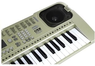 Klavieres MQ807 54 taustiņi LCD displejs Mikrofons USB mūzika cena un informācija | Attīstošās rotaļlietas | 220.lv