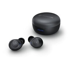 Motorola Moto Buds 270 ANC TWS цена и информация | Наушники | 220.lv