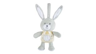 Музыкальная игрушка Chicco Bunny 151509 цена и информация | Игрушки для малышей | 220.lv