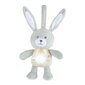 Muzikāla rotaļlieta Chicco Bunny 151509 cena un informācija | Rotaļlietas zīdaiņiem | 220.lv