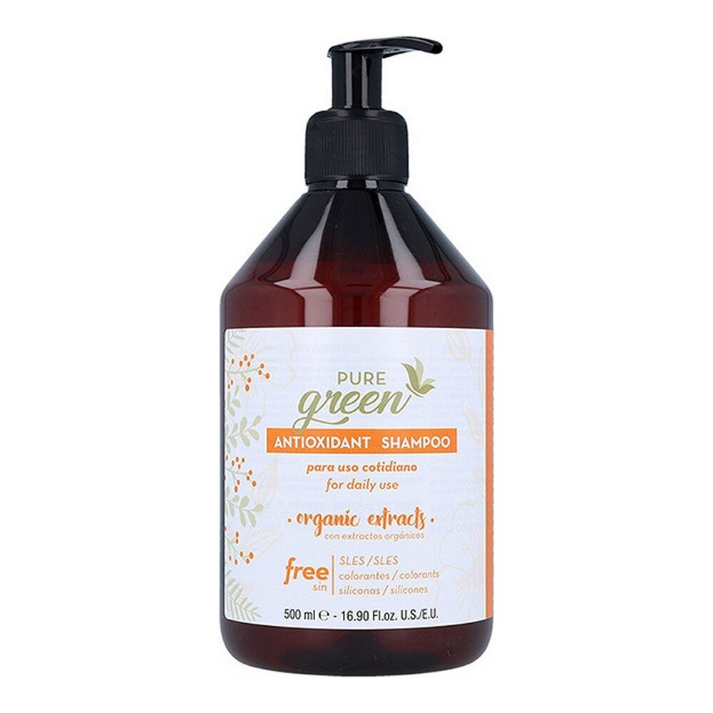 Šampūns Antioxidant Pure Green цена и информация | Šampūni | 220.lv