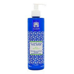 Капиллярная маска Valquer Total Repair Ice-Glacial 300 ml (300 ml) цена и информация | Средства для укрепления волос | 220.lv