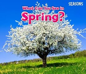 What Can You See In Spring? cena un informācija | Grāmatas mazuļiem | 220.lv