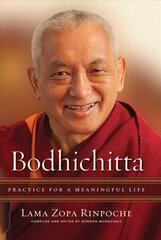 Bodhichitta: Practice for a Meaningful Life cena un informācija | Garīgā literatūra | 220.lv