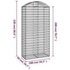 vidaXL arkveida gabiona grozs, 100x50x200/220 cm, cinkota dzelzs cena un informācija | Žogi un piederumi | 220.lv