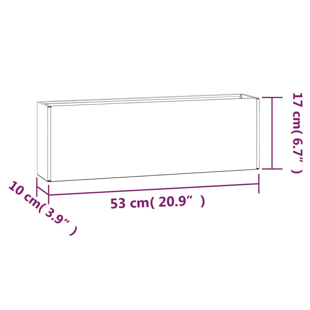 vidaXL sienas puķu kastes, 2 gb., rūsgans kortena tērauds, 53x10x17 cm cena un informācija | Podi stādiem un pārstādīšanai | 220.lv