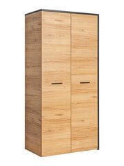 Шкаф Toronto 2D, коричневый цена и информация | Шкафы | 220.lv