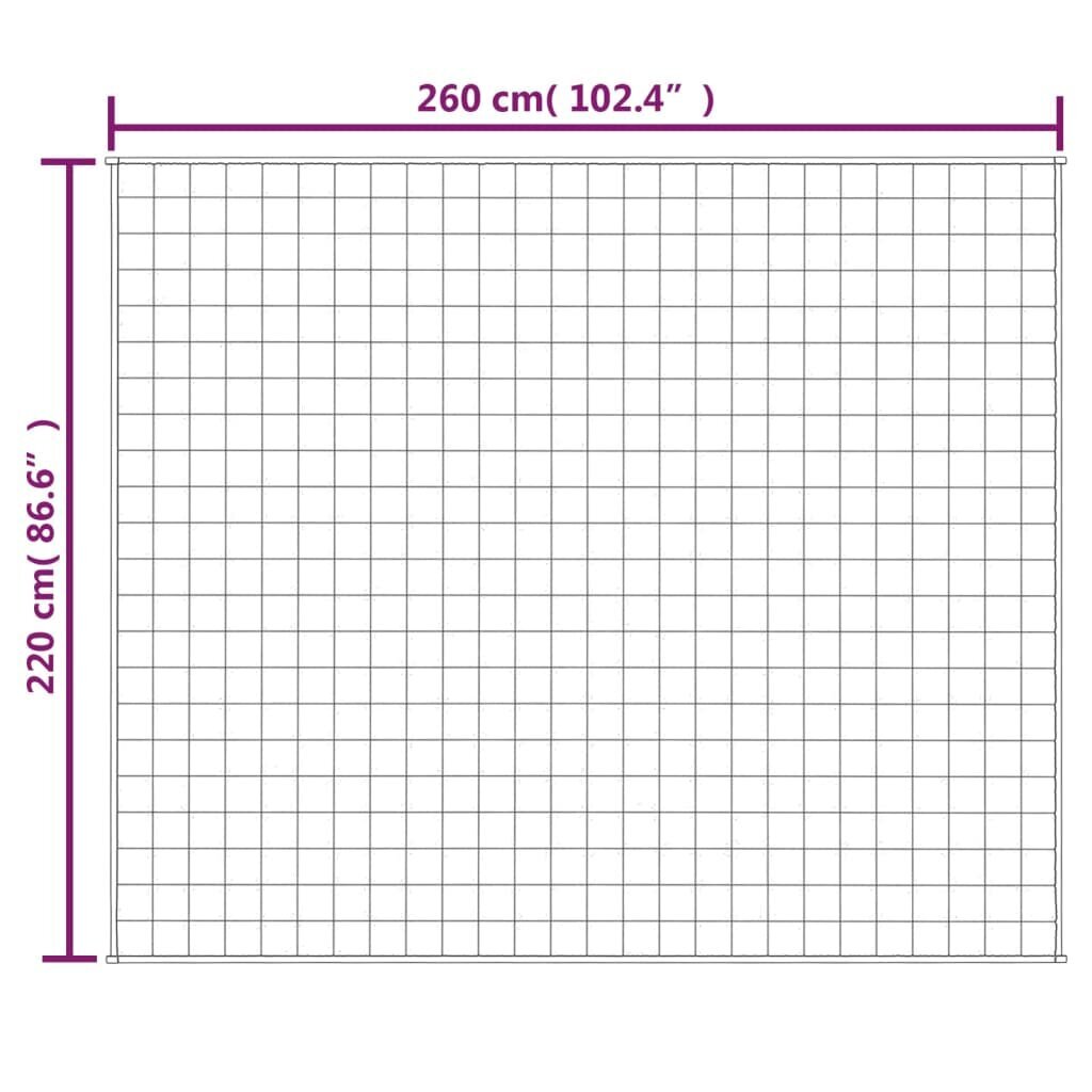 vidaXL smaguma sega, gaišas krēmkrāsas, 220x260 cm, 15 kg, audums cena un informācija | Segas | 220.lv