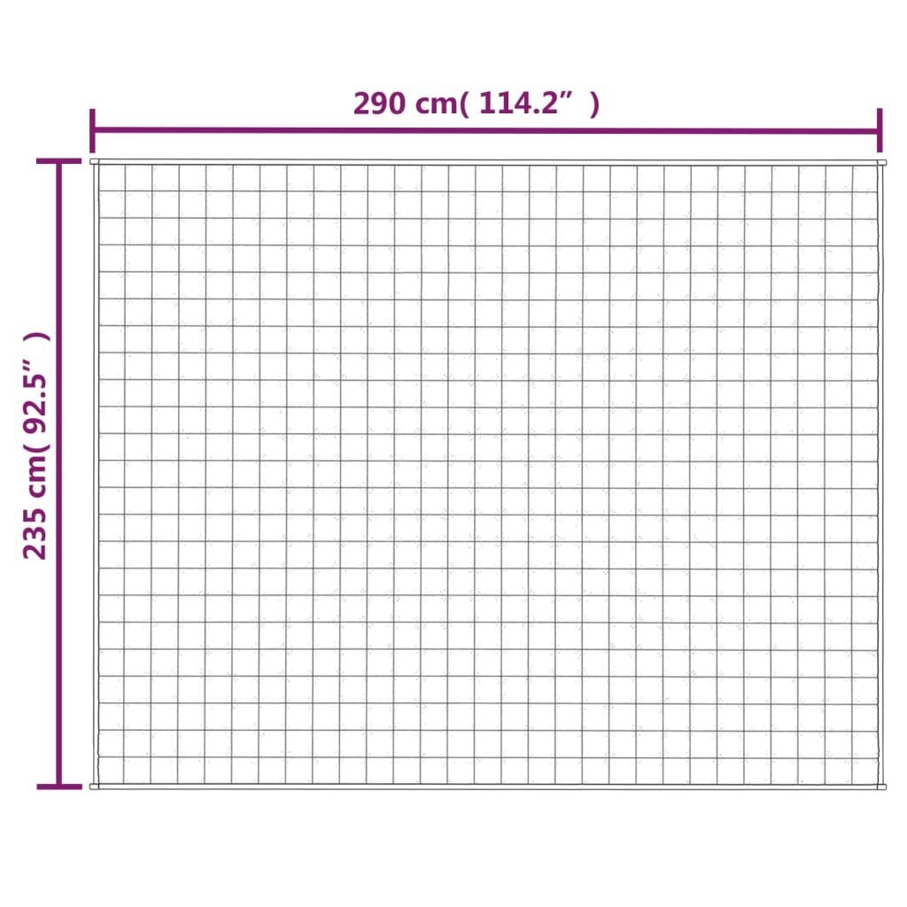 vidaXL smaguma sega, gaišas krēmkrāsas, 235x290 cm, 11 kg, audums cena un informācija | Segas | 220.lv