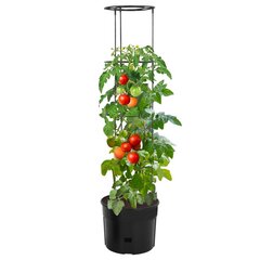 vidaXL pods tomātu audzēšanai, Ø39x150 cm, pelēks, polipropilēns цена и информация | Вазоны | 220.lv