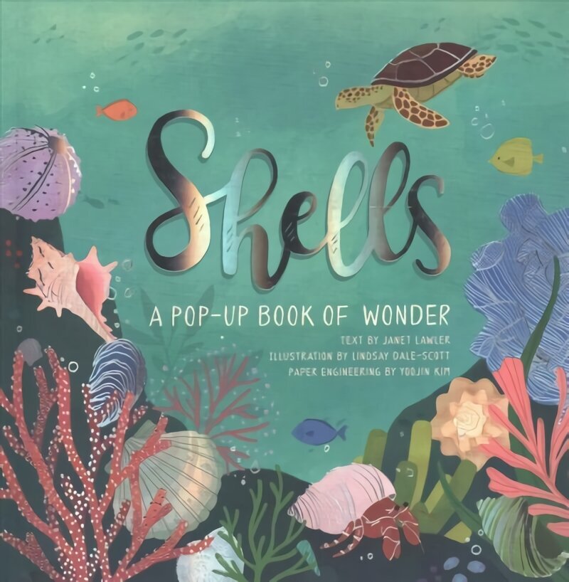 Shells: A Pop-Up Book of Wonder cena un informācija | Grāmatas mazuļiem | 220.lv