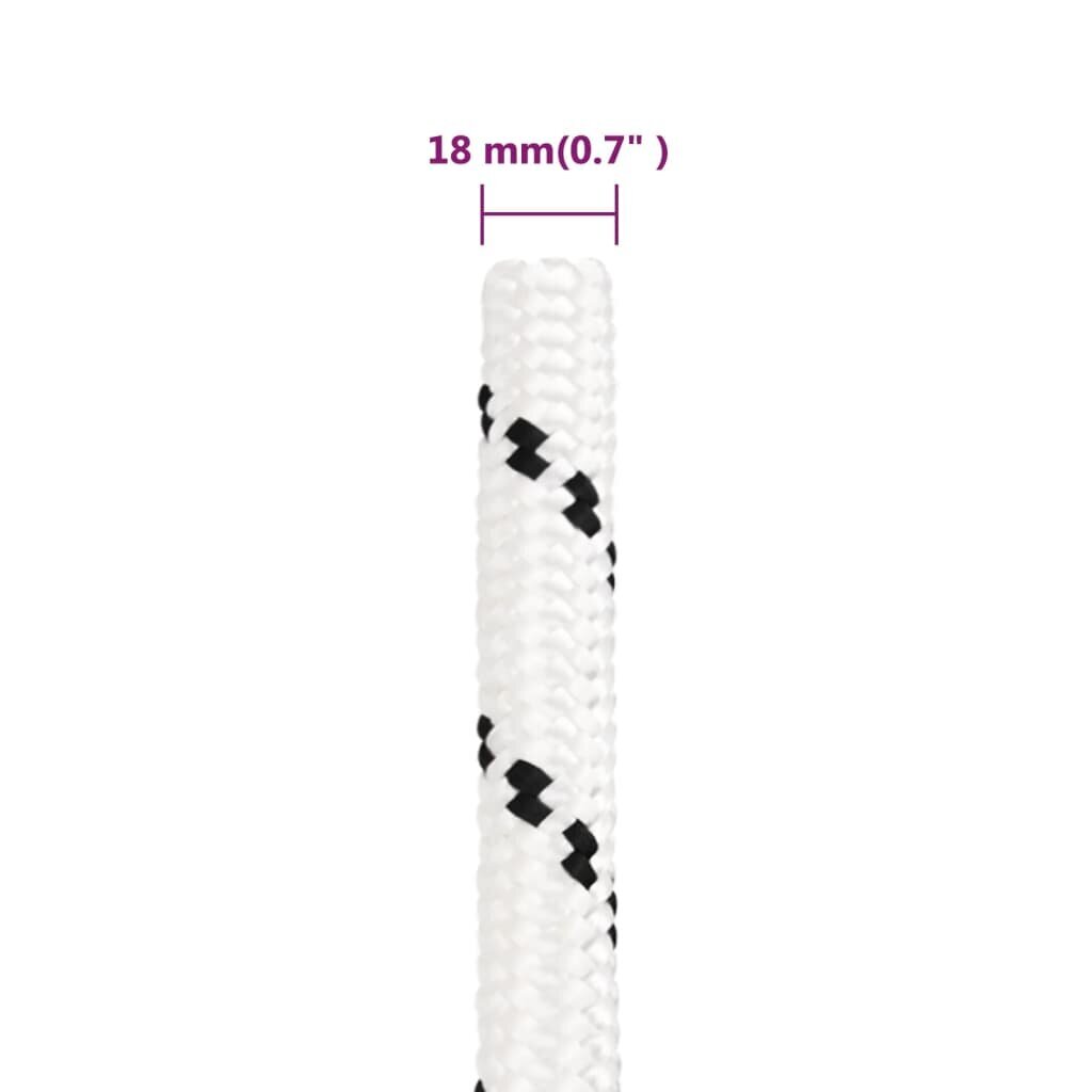 vidaXL darba virve, balta, 18 mm, 100 m, poliesters cena un informācija | Dārza instrumenti | 220.lv