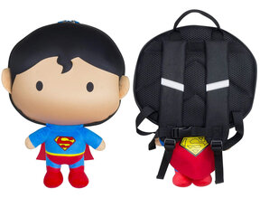 Рюкзак Ridaz Superman цена и информация | Рюкзаки и сумки | 220.lv