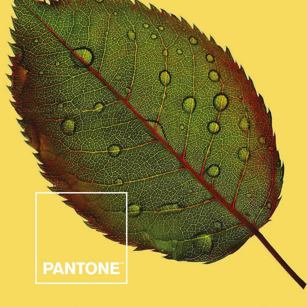 Gultas veļa Nature Pantone cena un informācija | Gultas veļas komplekti | 220.lv