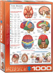 Пазл Eurographics, 6000-0256, The Brain, 1000 шт. цена и информация | Пазлы | 220.lv