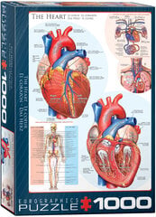 Puzle Eurographics, 6000-0257 ® The Heart cena un informācija | Puzles, 3D puzles | 220.lv
