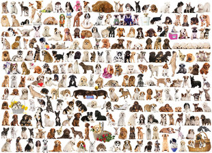 Puzle Eurographics, 6000-0581, The World of Dogs, 1000 gab. cena un informācija | Puzles, 3D puzles | 220.lv