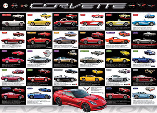 Puzle Eurographics, 6000-0683, Corvette Evolution, 1000 gab. cena un informācija | Puzles, 3D puzles | 220.lv