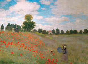 Пазл Eurographics, 6000-0826, Poppy Field, 1000 шт. цена и информация | Пазлы | 220.lv