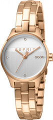 Женские часы Esprit ES1L054M0075 цена и информация | Женские часы | 220.lv