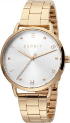 Женские часы Esprit ES1L173M0085 цена и информация | Женские часы | 220.lv