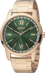Женские часы Esprit ES1L325M0085 цена и информация | Женские часы | 220.lv
