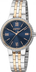 Женские часы Esprit ES1L333M0105 цена и информация | Женские часы | 220.lv