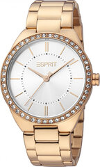 Женские часы Esprit ES1L326M0075 цена и информация | Женские часы | 220.lv