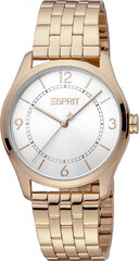 Женские часы Esprit ES1L297M0075 цена и информация | Женские часы | 220.lv