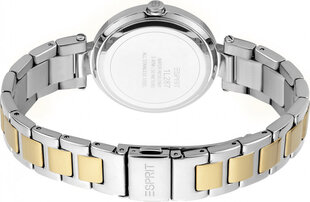 Женские часы Esprit ES1L287M0105 цена и информация | Женские часы | 220.lv