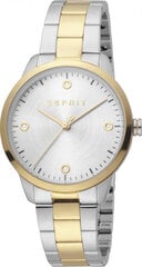 Женские часы Esprit ES1L164M0075 цена и информация | Женские часы | 220.lv