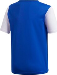 Тренировочная футболка Adidas Estro 19 Jersey Junior, синяя, 176см цена и информация | Футбольная форма и другие товары | 220.lv