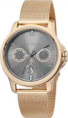 Женские часы Esprit ES1L145M0095 цена и информация | Женские часы | 220.lv