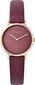 Sieviešu Pulkstenis Pierre Cardin CBV-1506 S7235913 цена и информация | Sieviešu pulksteņi | 220.lv