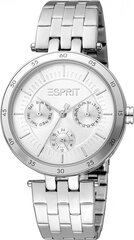 Женские часы Esprit ES1L337M0045 цена и информация | Женские часы | 220.lv